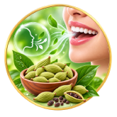 Cardamom pods used as a natural breath freshener