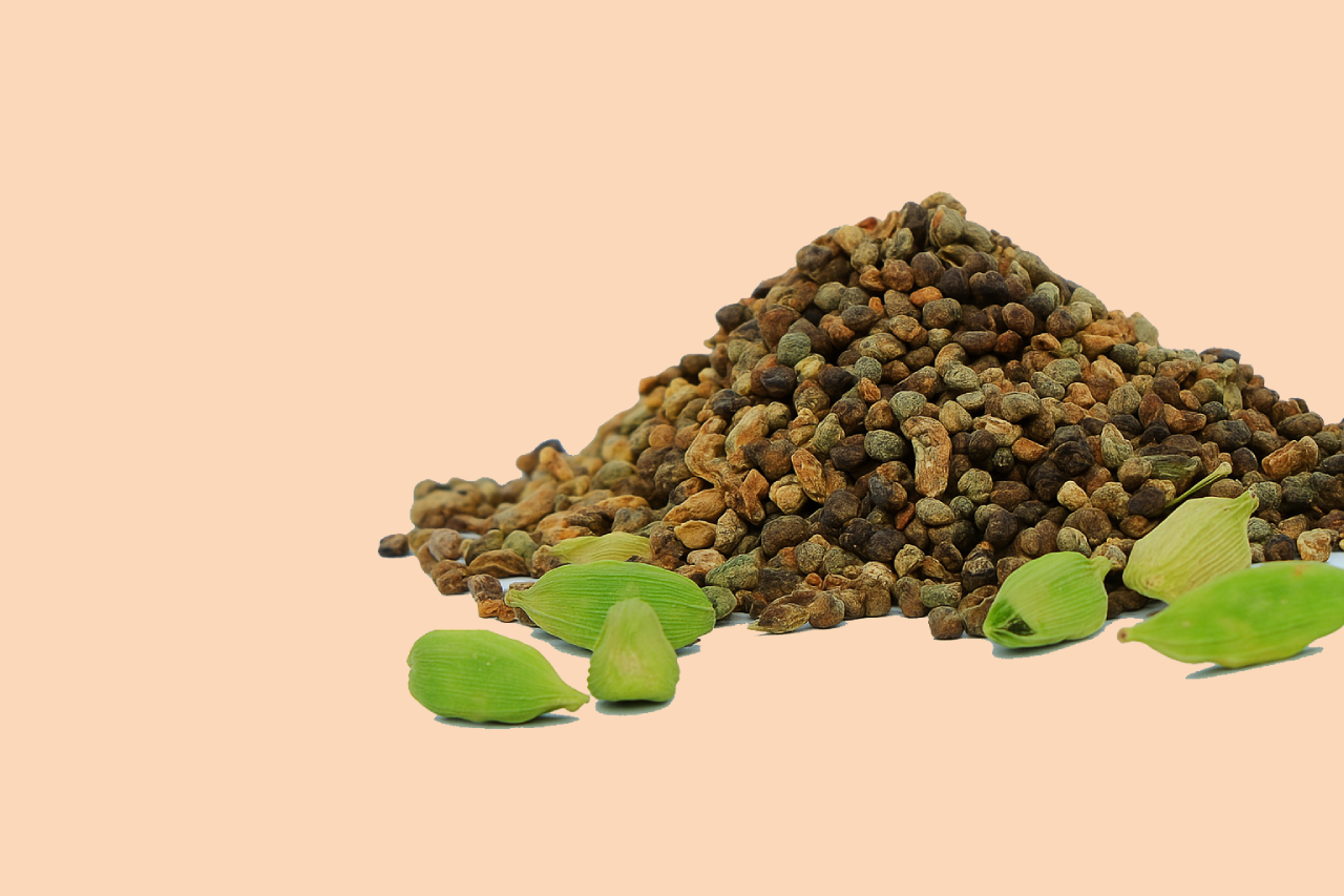 Divi Plus Tilt Image