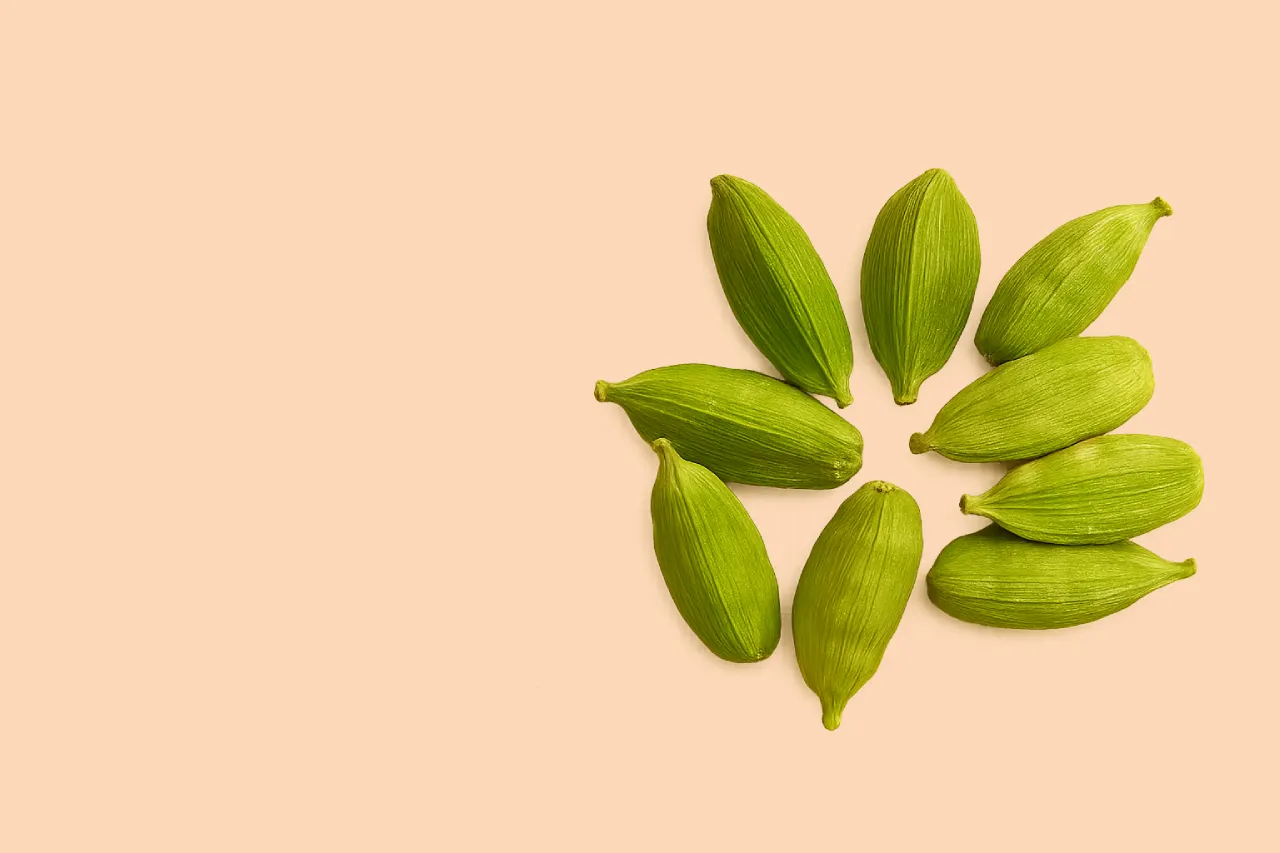 Divi Plus Tilt Image